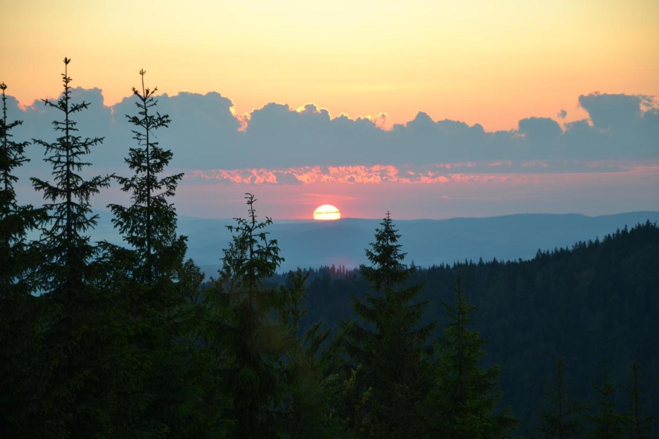 Willa Nad Dunajcem Nowy Targ Pokoj fotografie